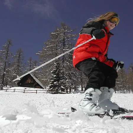 Holiday park Ferienhauser Brunnleiten Bad Kleinkirchheim